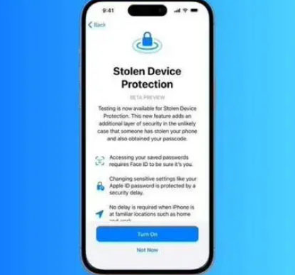 平乐苹果授权维修店分享被盗设备保护功能开启方法 