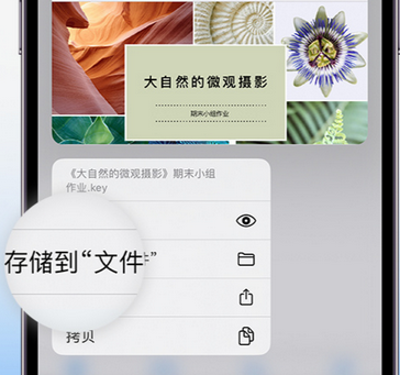 平乐apple维修中心分享iPhone文件应用中存储和找到下载文件