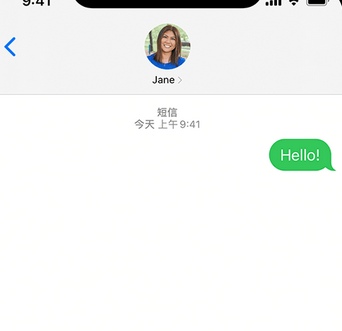 平乐apple维修iPhone上无法正常发送iMessage信息