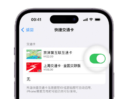 平乐apple维修点分享iPhone上更换Apple Pay快捷交通卡手绘卡面 