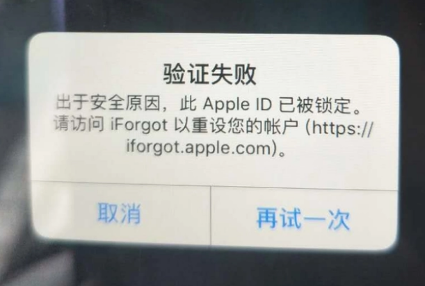 平乐iPhone维修分享iPhone上正常登录或使用AppleID怎么办 