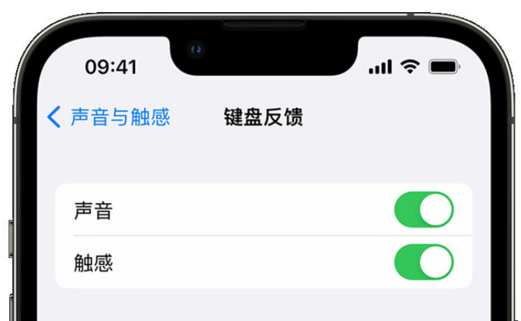 平乐苹果手机维修分享iPhone 14触感键盘使用方法 