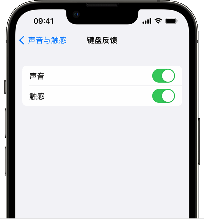 平乐苹果14维修店分享如何在 iPhone 14 机型中使用触感键盘 