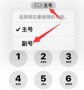 平乐苹果14维修店分享iPhone 14 Pro Max使用副卡打电话的方法 