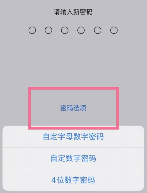 平乐苹果14维修分享iPhone 14plus设置密码的方法 