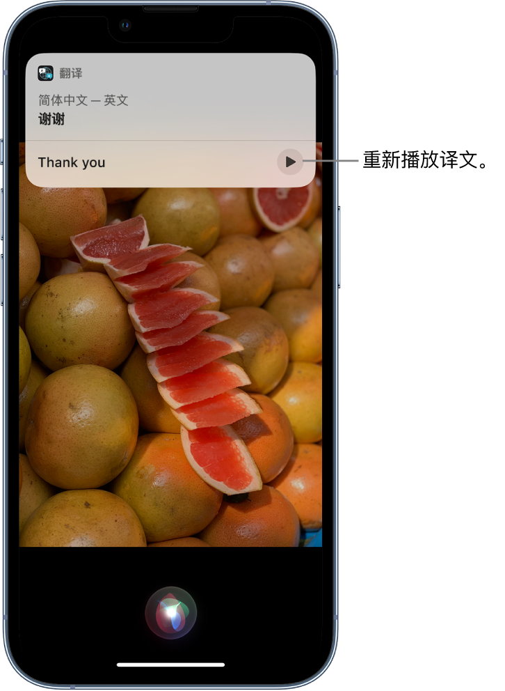 平乐苹果14维修分享 iPhone 14 机型中使用 Siri：了解 Siri 能帮你做什么 