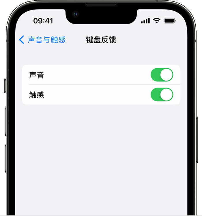 平乐苹果14维修分享iPhone 14 系列机型如何开启键盘声音或触感反馈 
