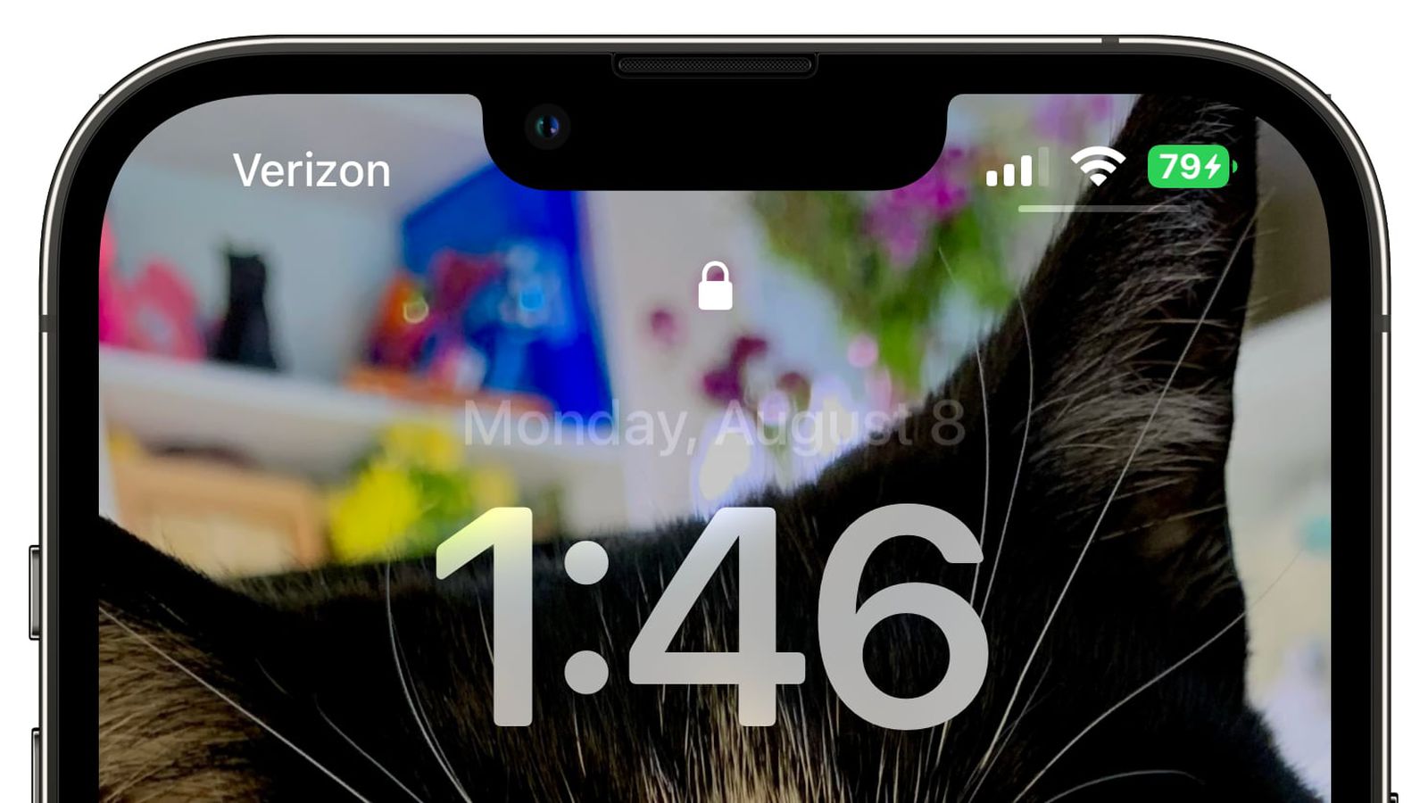 平乐苹果手机维修分享iOS 16 beta 5 支持状态栏显示电池百分比，如何开启？支持哪些机型 