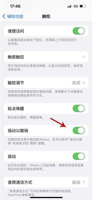 平乐苹果手机维修分享iPhone手机如何设置摇一摇删除文字 