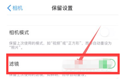 平乐苹果13维修分享iPhone13拍照有绿点是怎么回事 