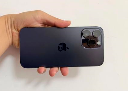 平乐苹果维修点分享iPhone 14 Pro Max黑屏少见故障盘点 